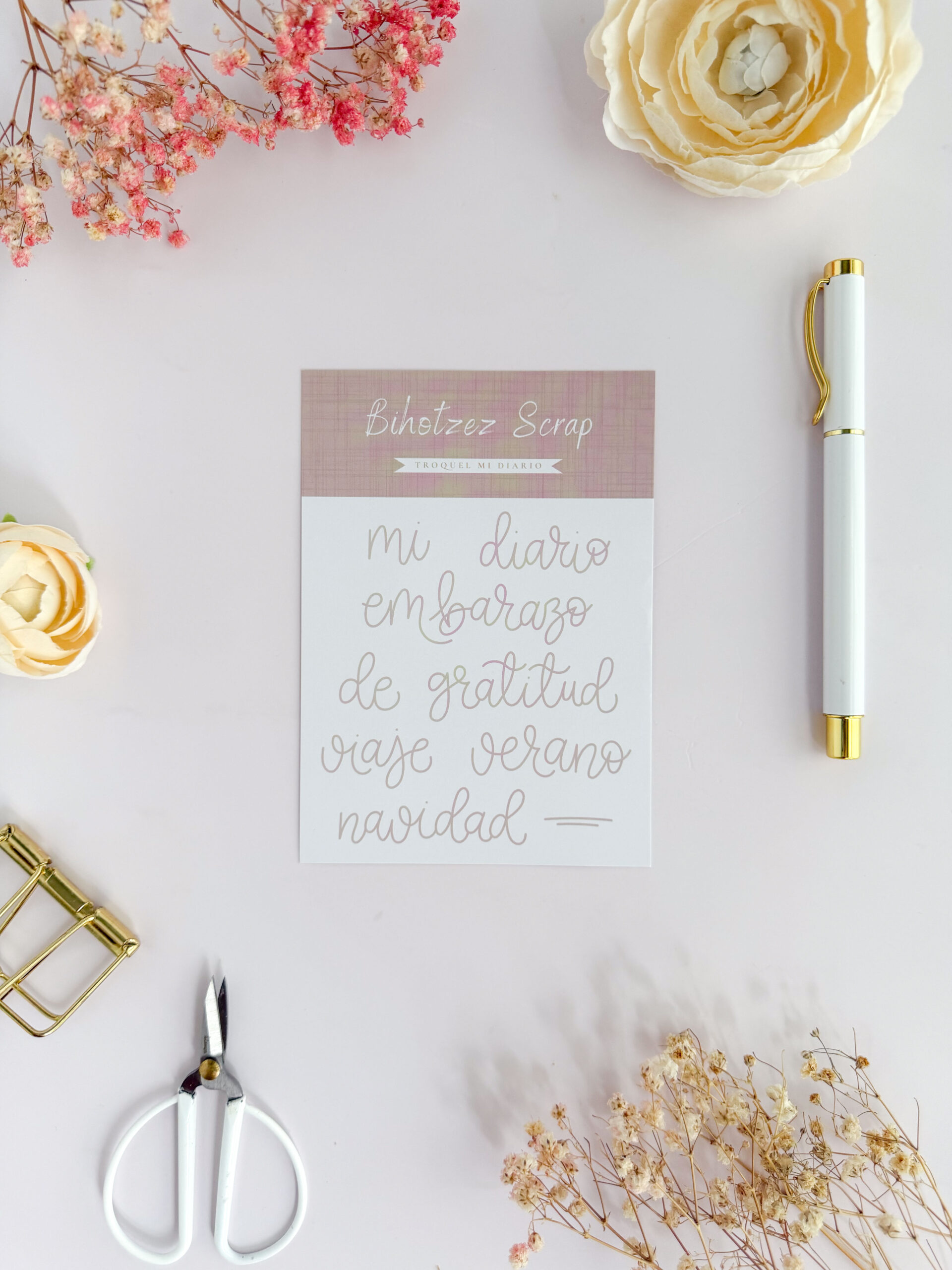 Troquel MI DIARIO