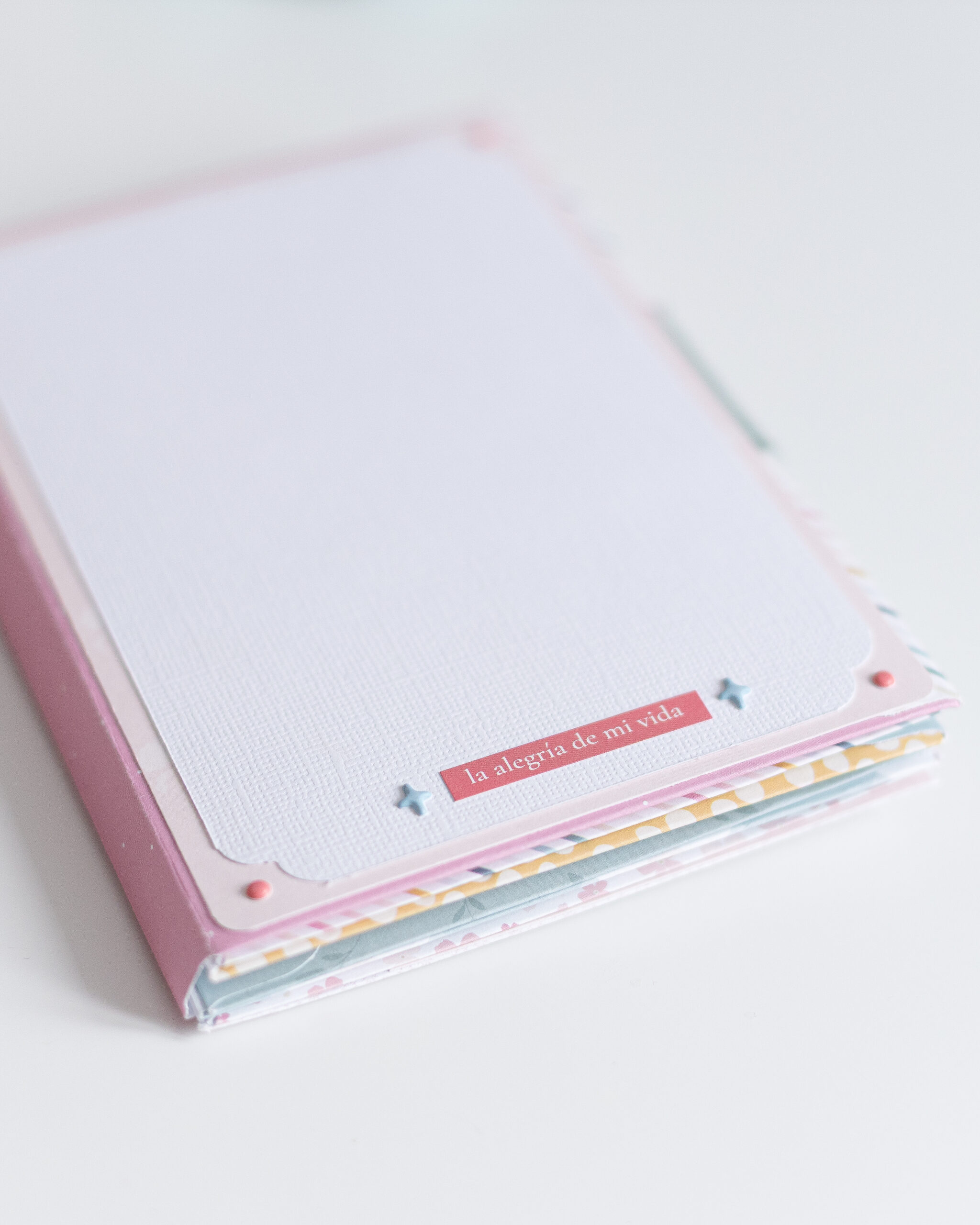     Álbum de scrapbooking familiar con sobres y desplegables decorados