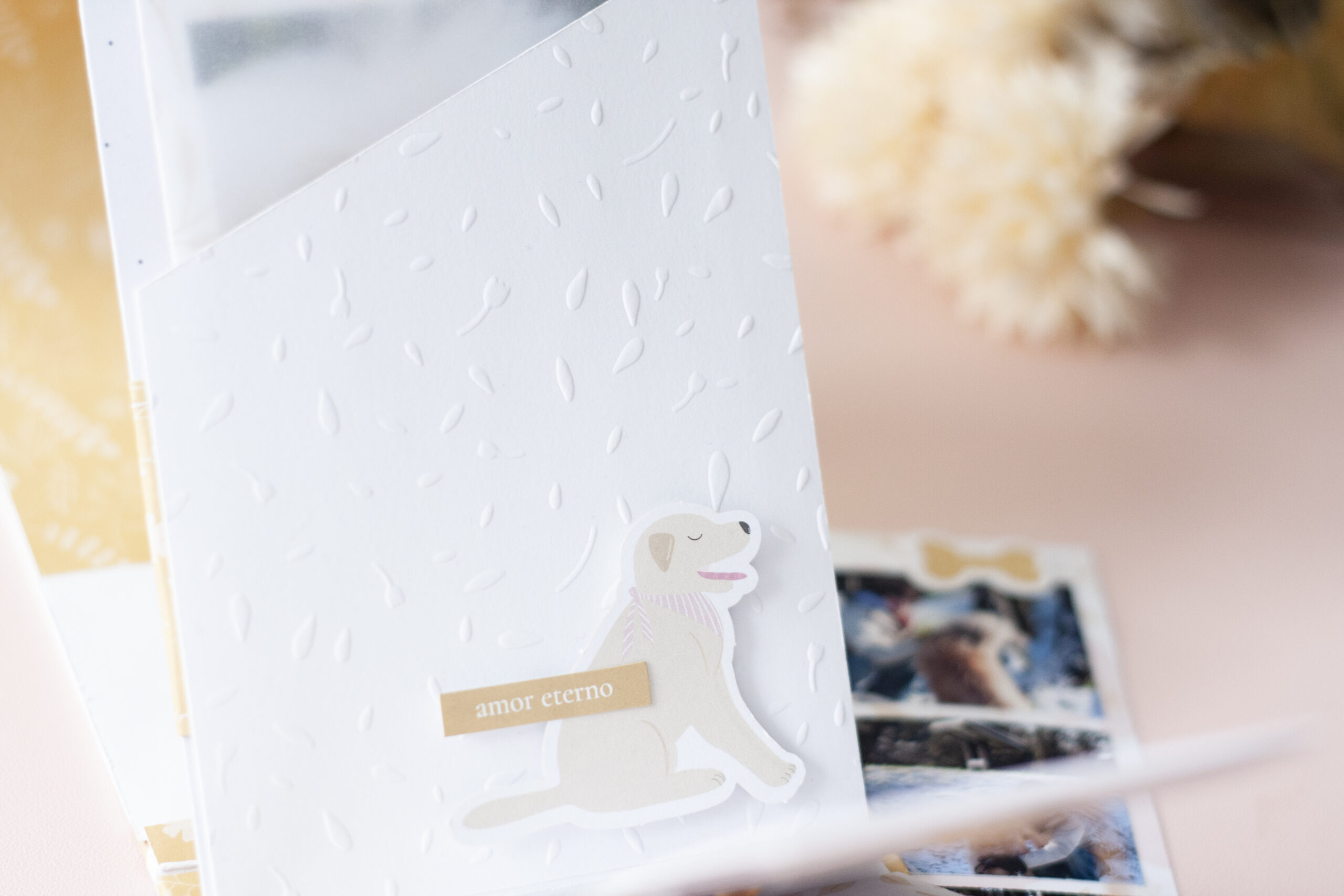     Fotografía suavizada con vellum en mini álbum de scrapbooking de mascota