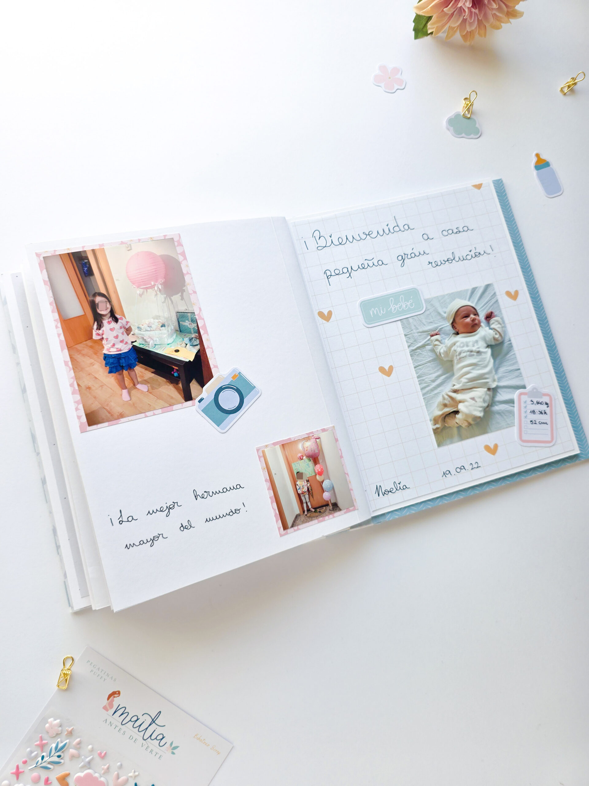     Estructura de cuadernos para un diario de embarazo.