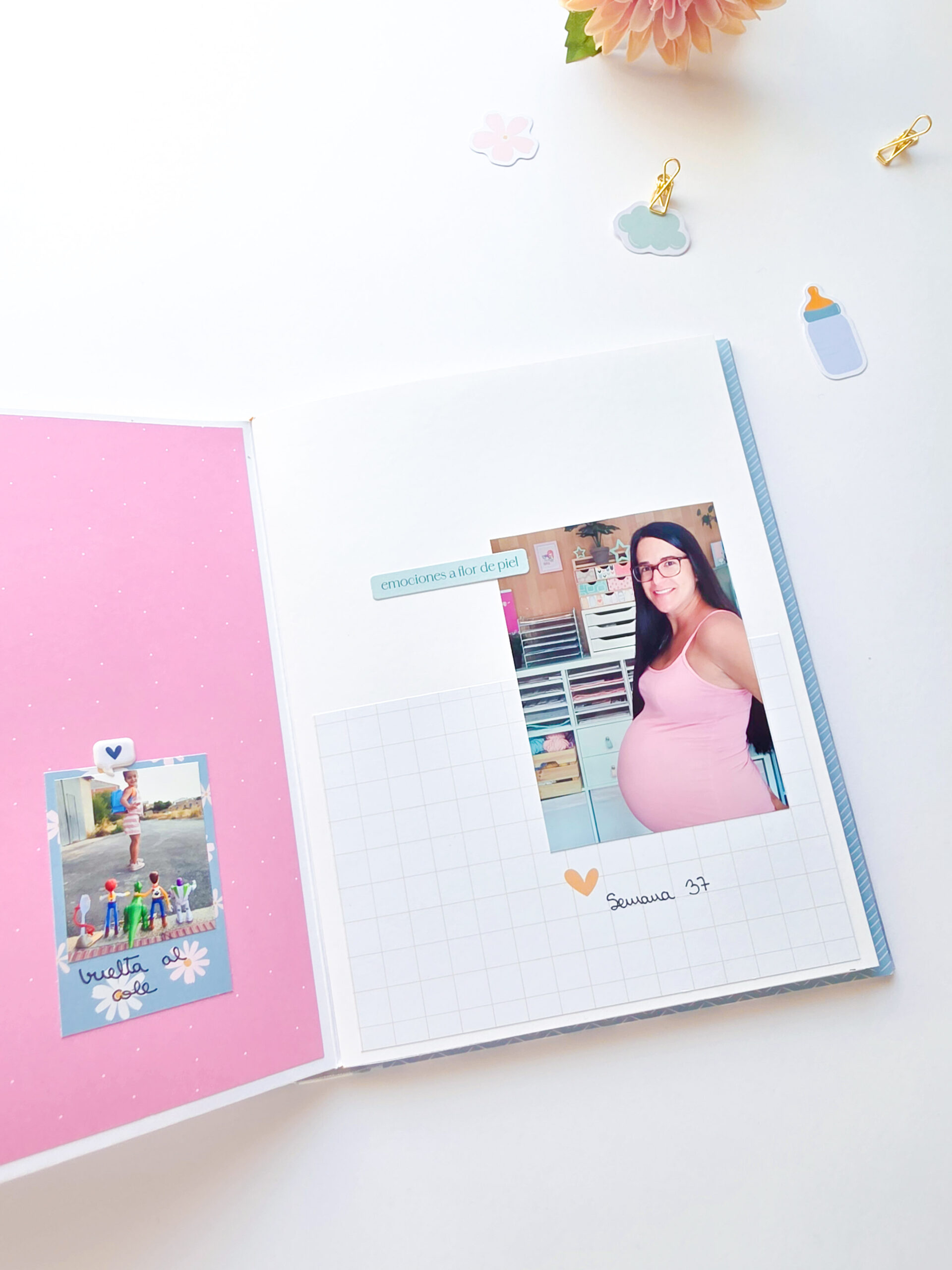     Estructura de cuadernos para un diario de embarazo.
